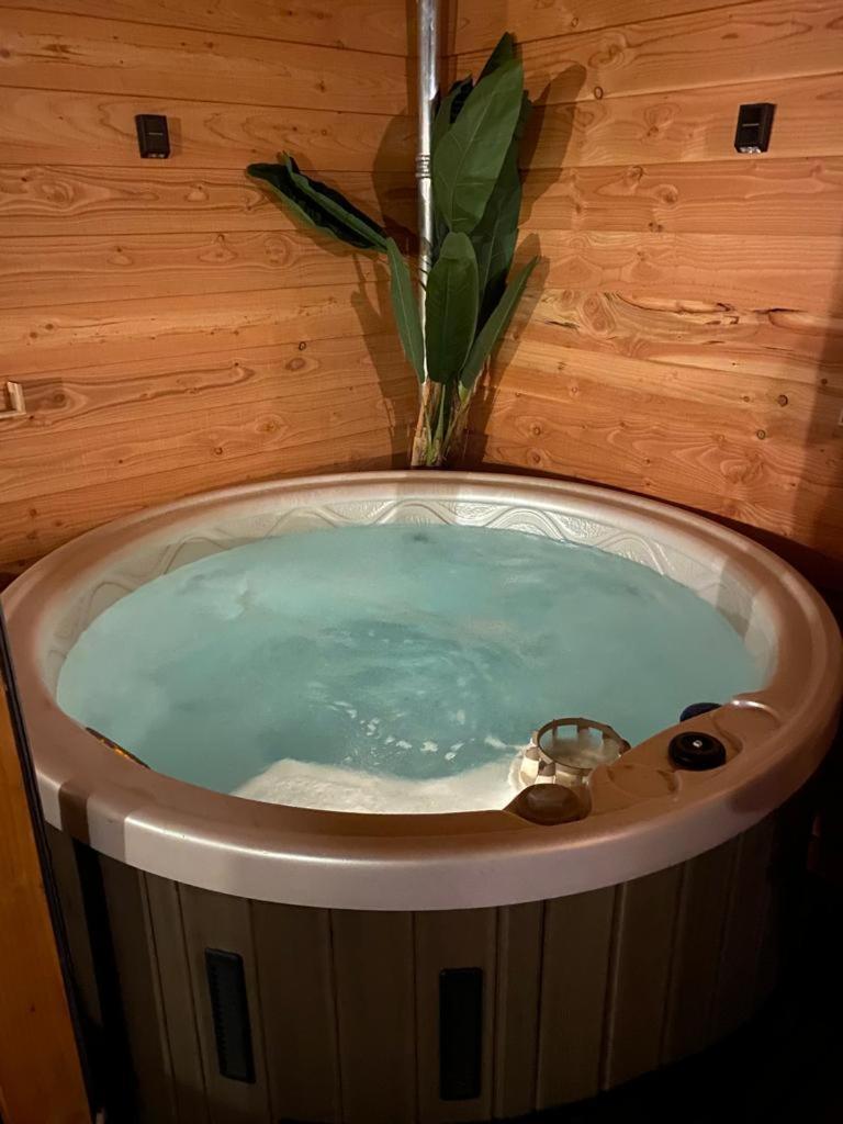 Holiday home Holtingerhuys Uffelte- Giethoorn! Tegen Betaling Wellness!!! Uffelte